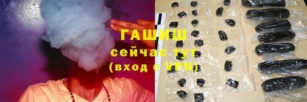 индика Касимов