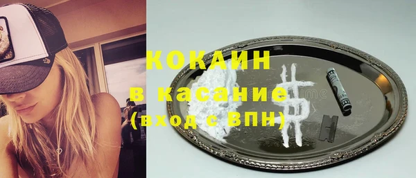 индика Касимов