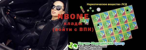 индика Касимов