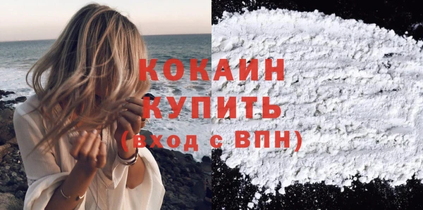 индика Касимов