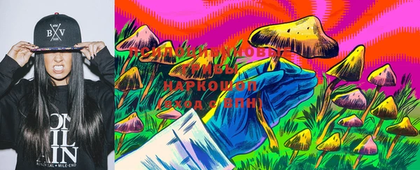 дживик Карпинск