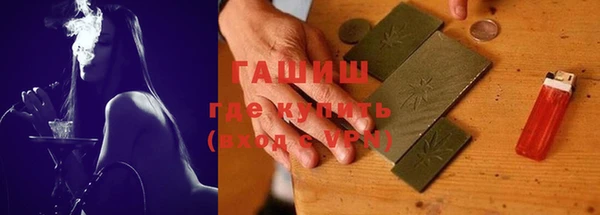 индика Касимов