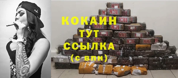 дживик Карпинск