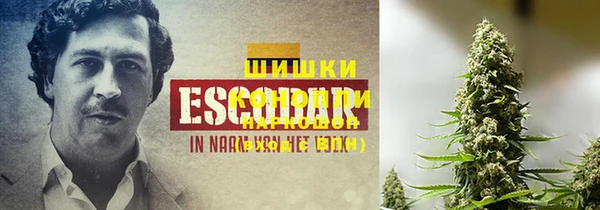 индика Касимов